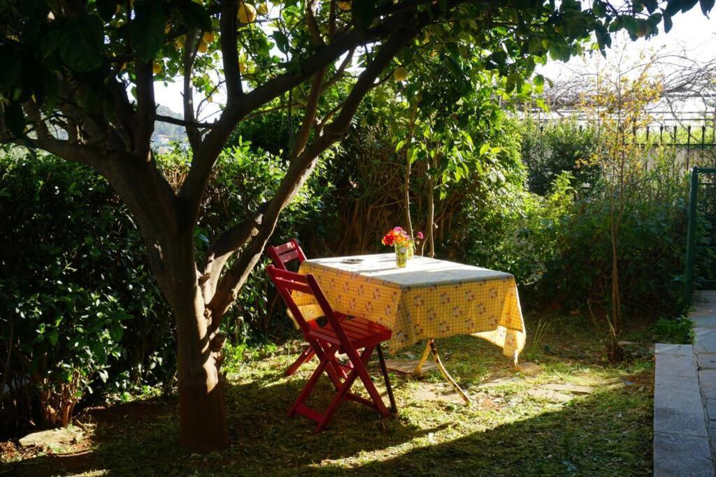 Cosy Guest House With Private Yard Saronida Екстер'єр фото